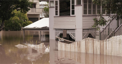 COM Flood Hazard copy-1 (1).png