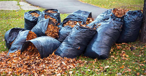 Bag of leaves with leaves spilling out.png