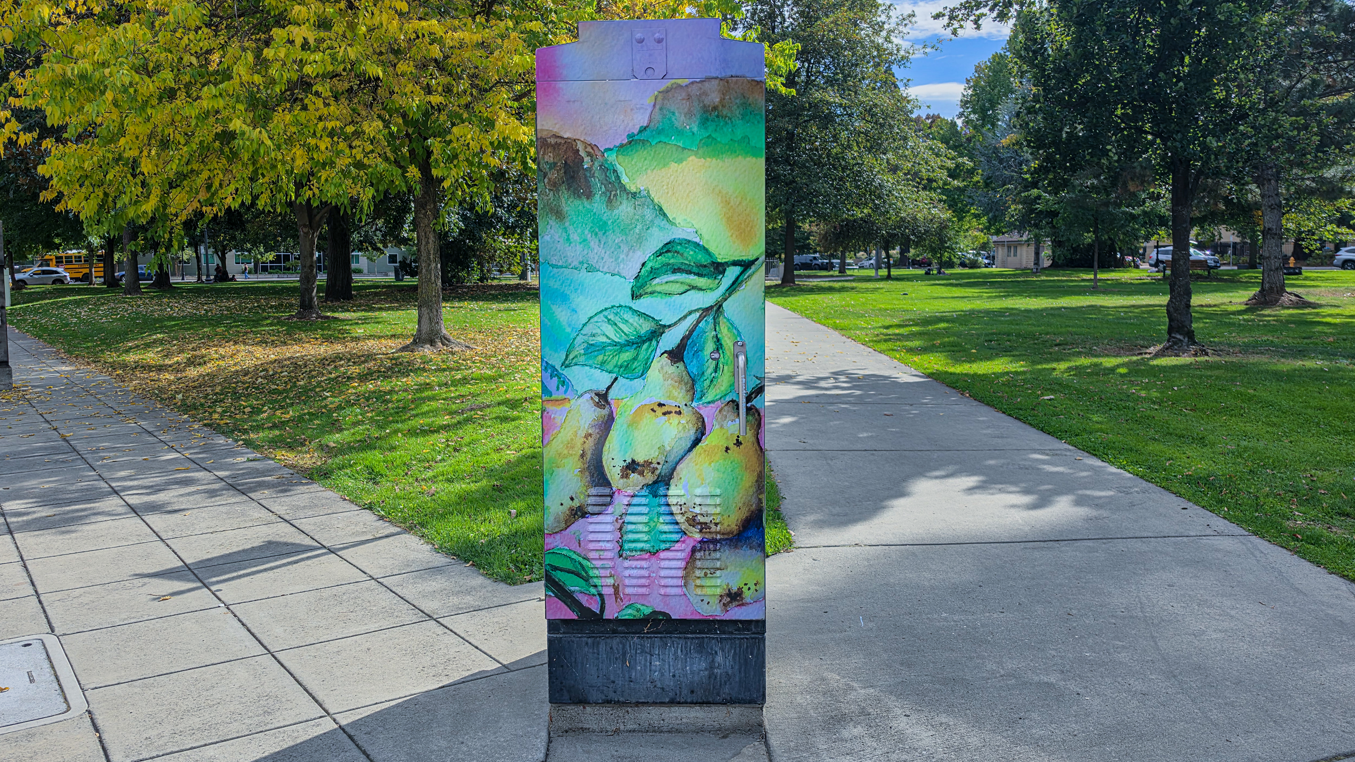 photo of utility box wrapped with art 