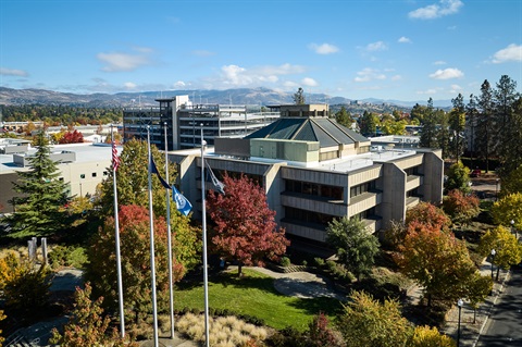 City Hall - Overview.jpg